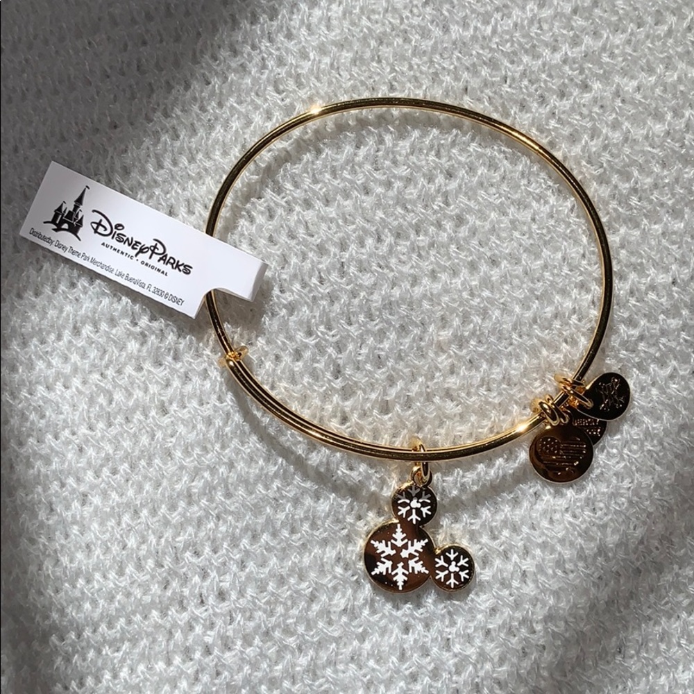 Disney Alex and Ani Charm Bangle